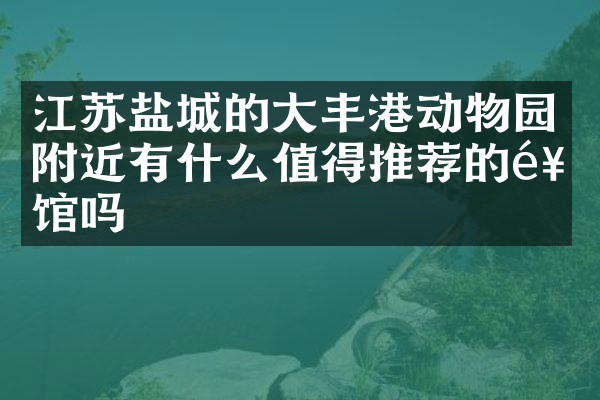 江苏盐城的大丰港动物园附近有什么值得推荐的饭馆吗