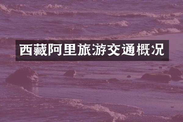 西藏阿里旅游交通概况