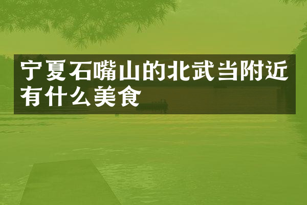 宁夏石嘴山的北武当附近有什么美食