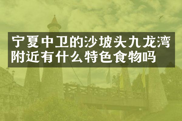 宁夏中卫的沙坡头九龙湾附近有什么特色食物吗