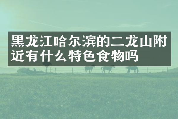 黑龙江哈尔滨的二龙山附近有什么特色食物吗