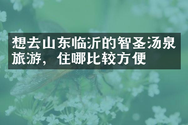 想去山东临沂的智圣汤泉旅游，住哪比较方便