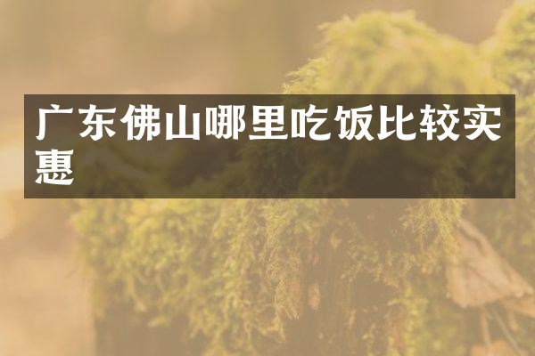 广东佛山哪里吃饭比较实惠