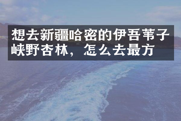 想去新疆哈密的伊吾苇子峡野杏林，怎么去最方便