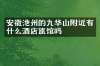 安徽池州的九华山附近有什么酒店旅馆吗