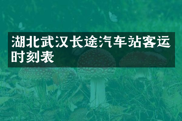 湖北武汉长途汽车站客运时刻表