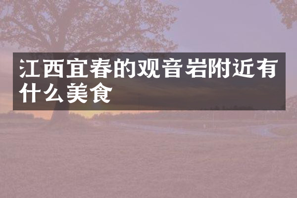 江西宜春的观音岩附近有什么美食