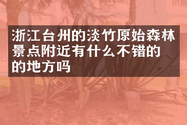 浙江台州的淡竹原始森林景点附近有什么不错的住的地方吗