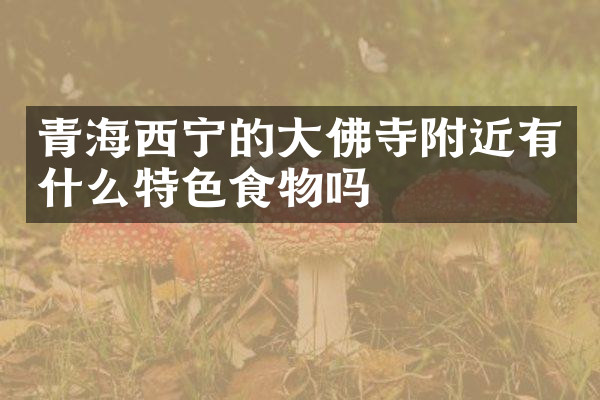 青海西宁的大佛寺附近有什么特色食物吗