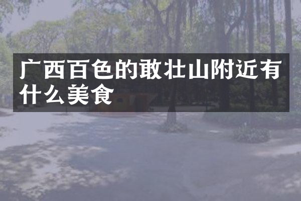 广西百色的敢壮山附近有什么美食