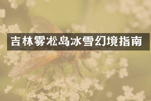 吉林雾凇岛冰雪幻境指南