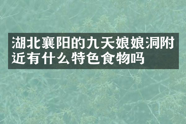 湖北襄阳的九天娘娘洞附近有什么特色食物吗