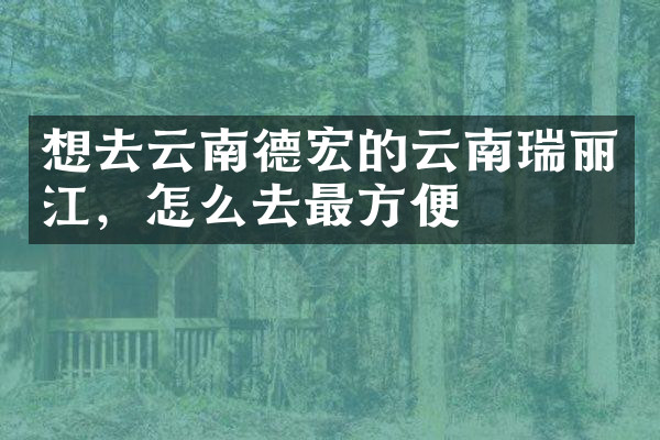想去云南德宏的云南瑞丽江，怎么去最方便