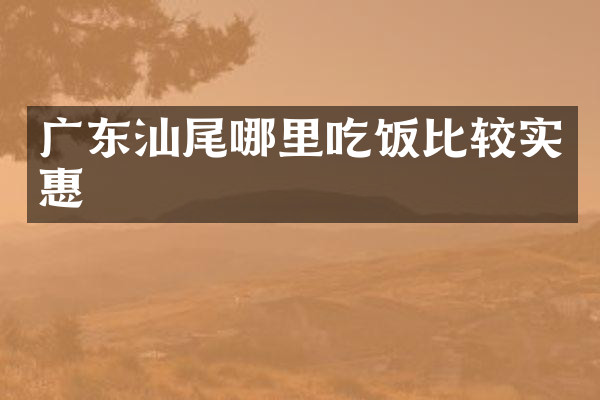 广东汕尾哪里吃饭比较实惠