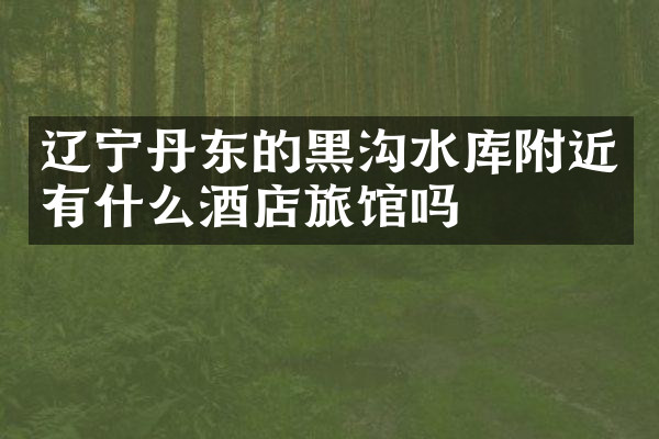 辽宁丹东的黑沟水库附近有什么酒店旅馆吗