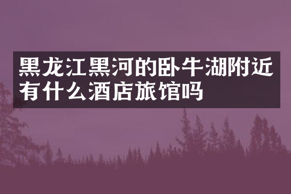 黑龙江黑河的卧牛湖附近有什么酒店旅馆吗