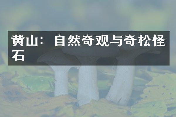 黄山：自然奇观与奇松怪石