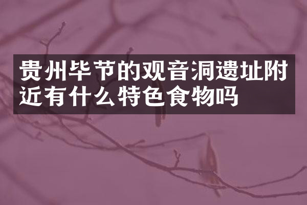 贵州毕节的观音洞遗址附近有什么特色食物吗