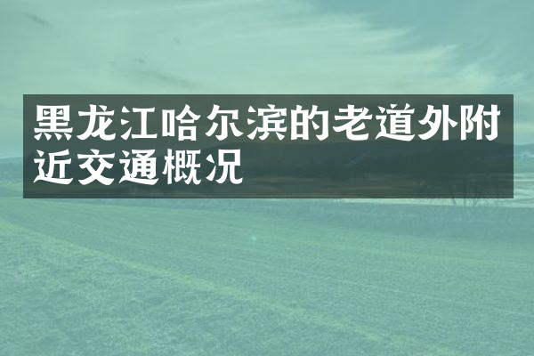 黑龙江哈尔滨的老道外附近交通概况