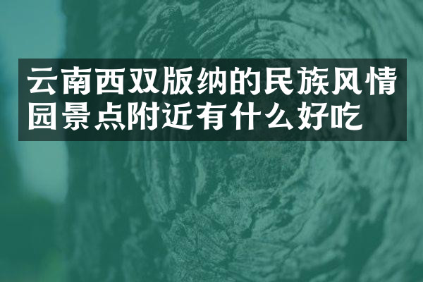 云南西双版纳的民族风情园景点附近有什么好吃的