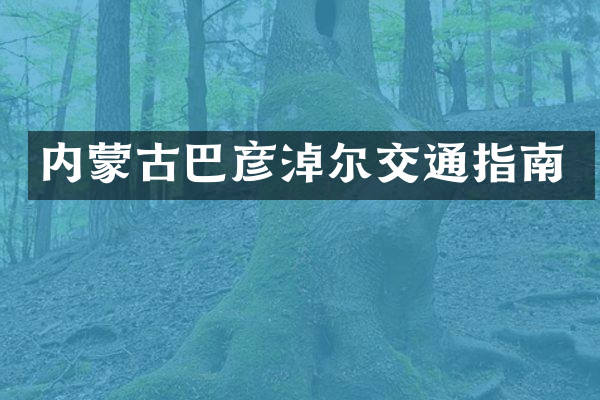 内蒙古巴彦淖尔交通指南