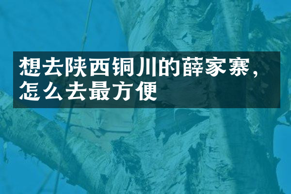 想去陕西铜川的薛家寨，怎么去最方便