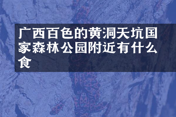 广西百色的黄猄洞天坑国家森林公园附近有什么美食