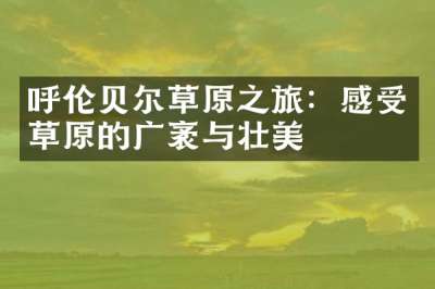 呼伦贝尔草原之旅：感受草原的广袤与壮美