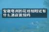 安徽亳州的花戏楼附近有什么酒店旅馆吗