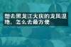 想去黑龙江大庆的龙凤湿地，怎么去最方便
