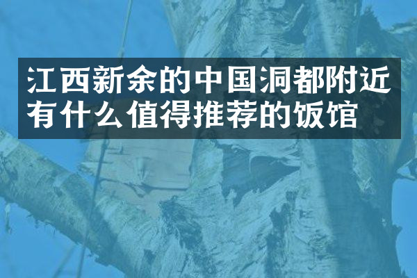 江西新余的中国洞都附近有什么值得推荐的饭馆吗
