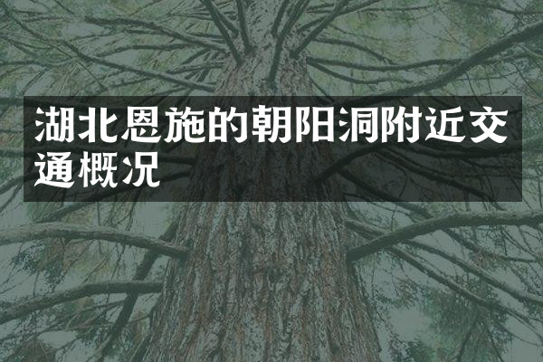 湖北恩施的朝阳洞附近交通概况