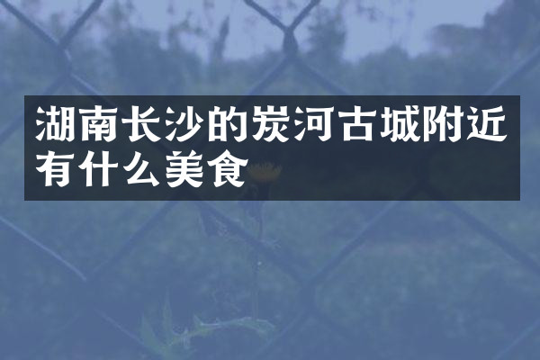 湖南长沙的炭河古城附近有什么美食