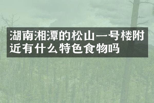 湖南湘潭的松山一号楼附近有什么特色食物吗