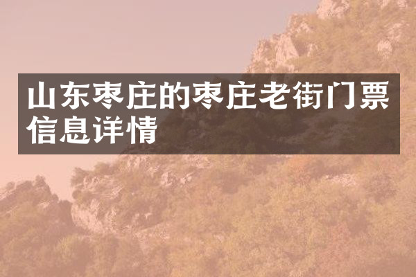 山东枣庄的枣庄老街门票信息详情