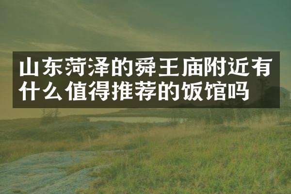 山东菏泽的舜王庙附近有什么值得推荐的饭馆吗