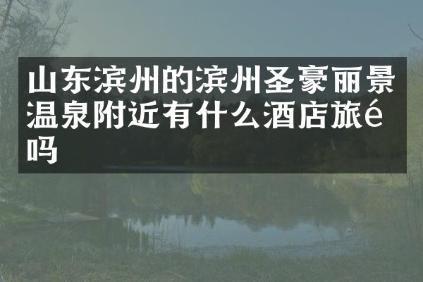 山东滨州的滨州圣豪丽景温泉附近有什么酒店旅馆吗