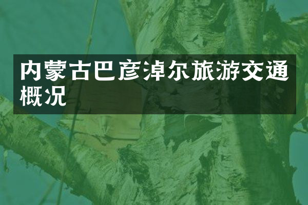 内蒙古巴彦淖尔旅游交通概况