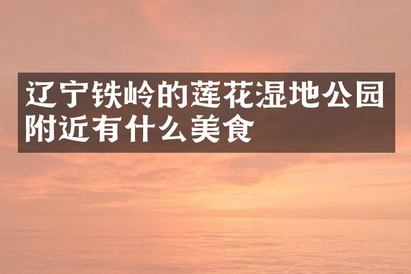 辽宁铁岭的莲花湿地公园附近有什么美食