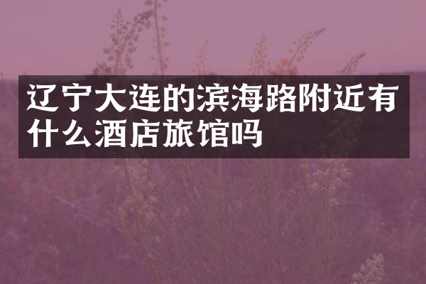 辽宁大连的滨海路附近有什么酒店旅馆吗