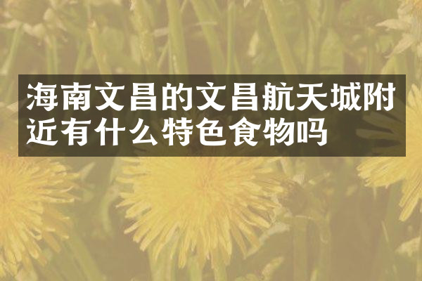 海南文昌的文昌航天城附近有什么特色食物吗