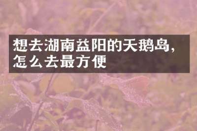 想去湖南益阳的天鹅岛，怎么去最方便