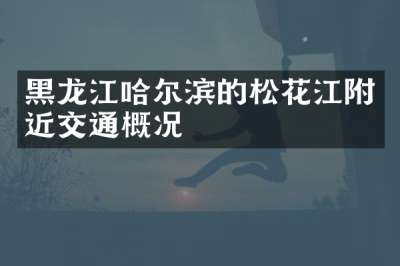 黑龙江哈尔滨的松花江附近交通概况