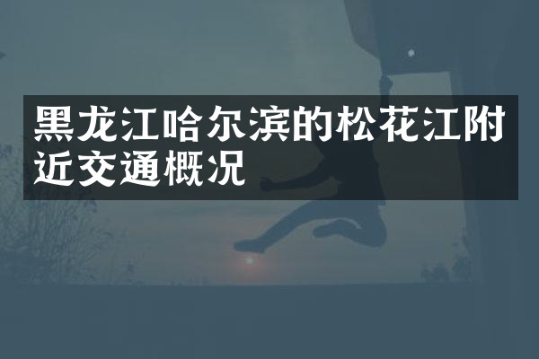 黑龙江哈尔滨的松花江附近交通概况