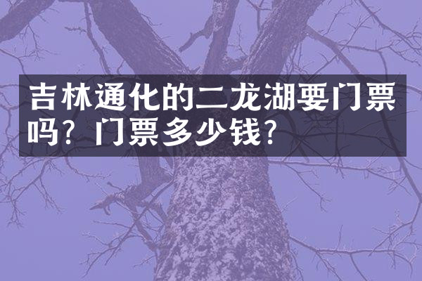 吉林通化的二龙湖要门票吗？门票多少钱？