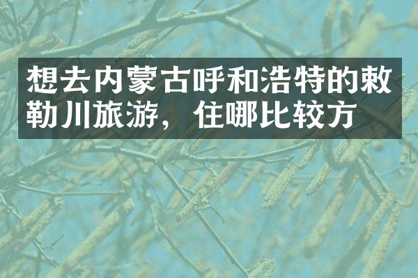 想去内蒙古呼和浩特的敕勒川旅游，住哪比较方便