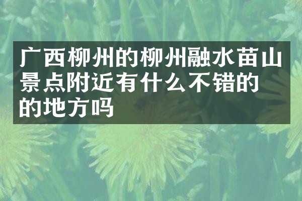 广西柳州的柳州融水苗山景点附近有什么不错的住的地方吗