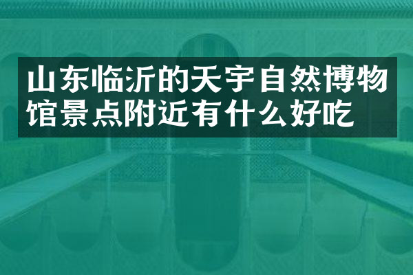 山东临沂的天宇自然博物馆景点附近有什么好吃的