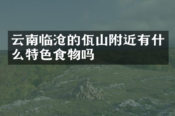 云南临沧的佤山附近有什么特色食物吗