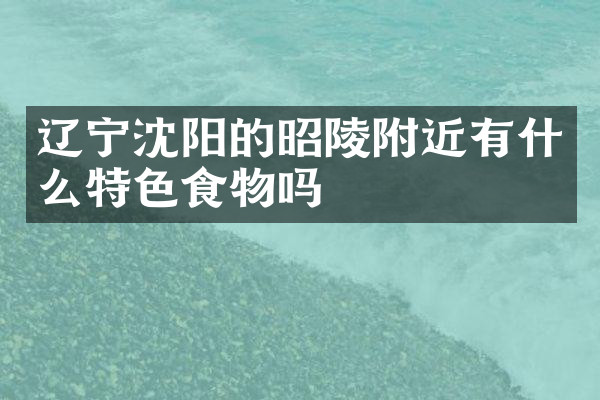 辽宁沈阳的昭陵附近有什么特色食物吗